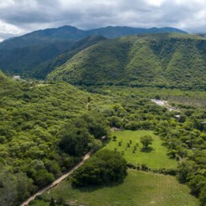 Valle Central (sfvc)